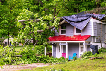 Stormy day and tree on a house
